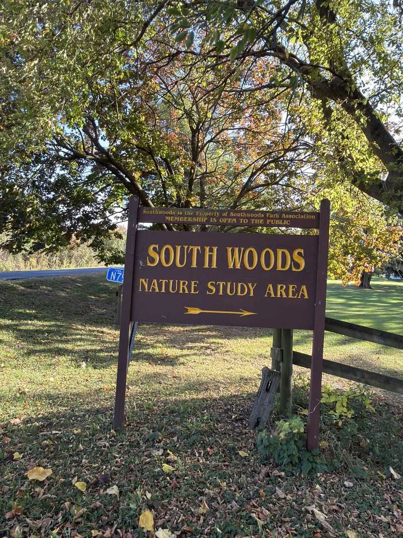 A Quiet Woodland Setting That Encourages Unhurried Walking
