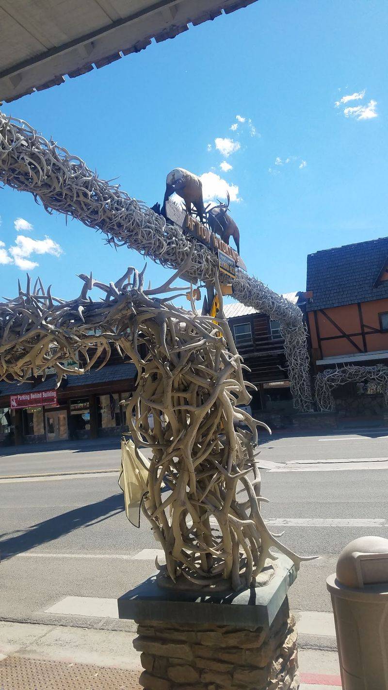 Antler Arch Steals Attention