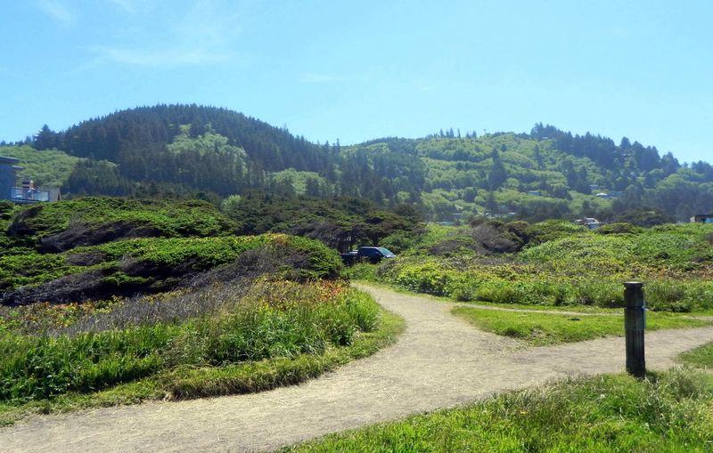 The 804 Trail Keeps Things Accessible