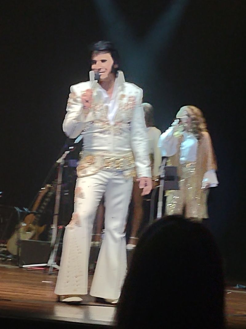 Tribute Artists Who Truly Deliver