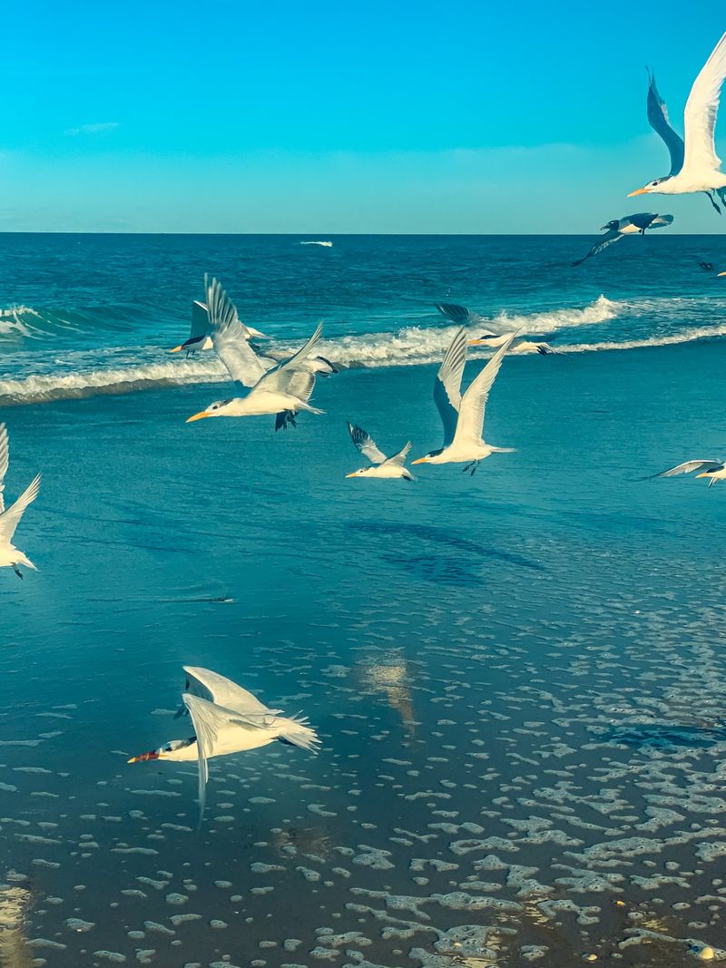 Playalinda Beach, Titusville