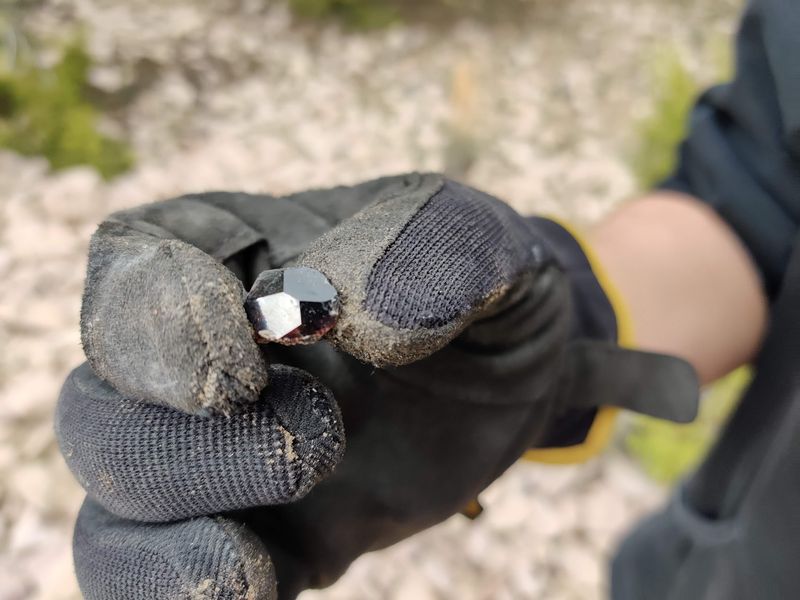 Why This Nevada Rockhounding Spot Is Worth Exploring