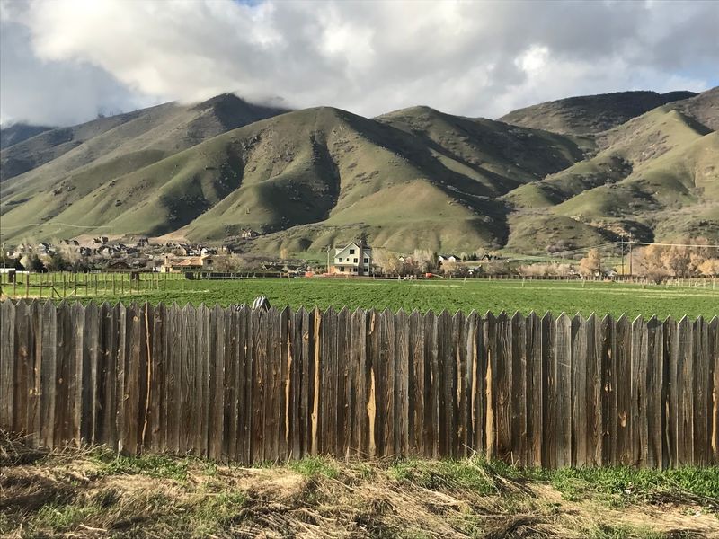 Mapleton