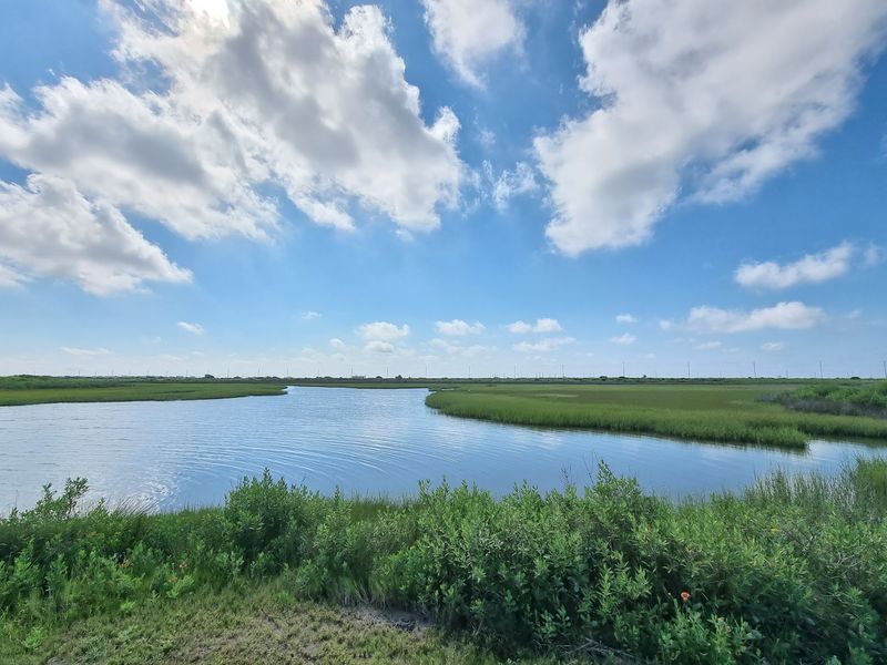 Environmental Preservation Efforts In The Park