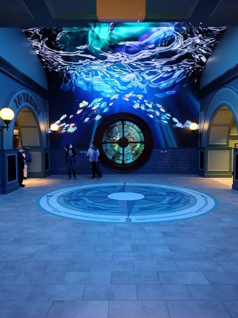 Sharks After Dark And The Adult Crowd