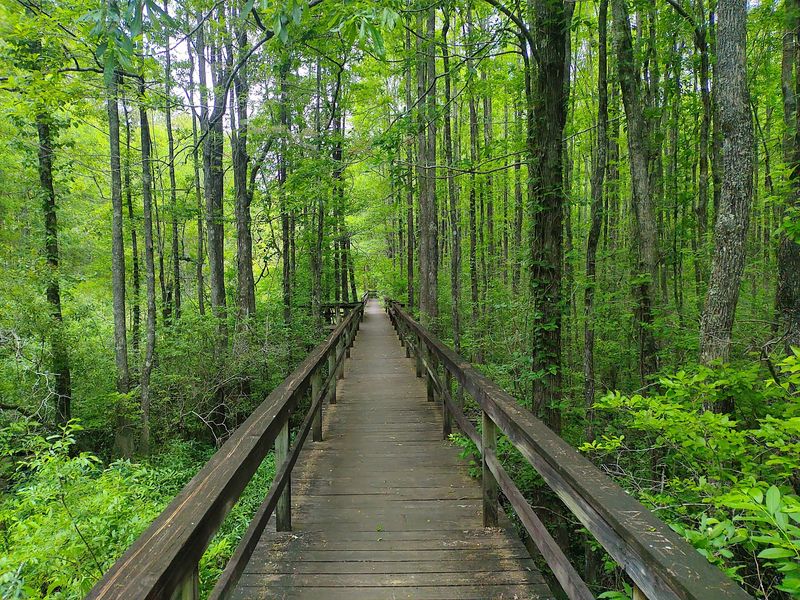 Percy Quin State Park