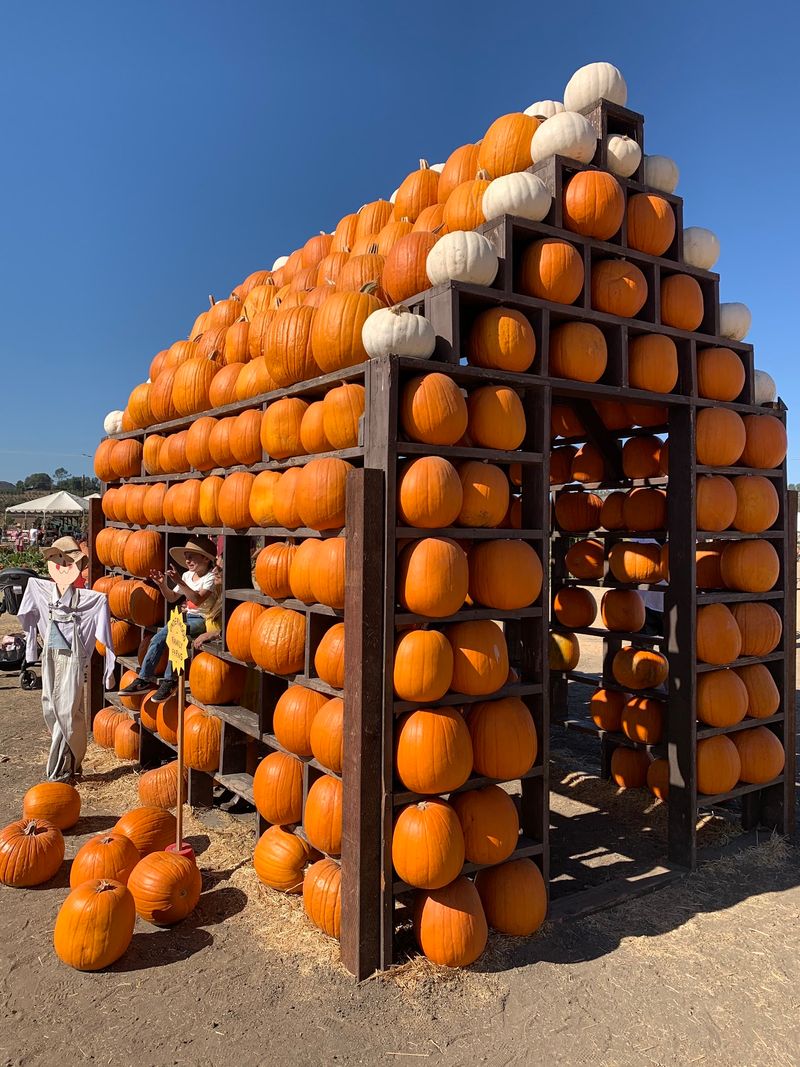 Festivals That Fill The Calendar