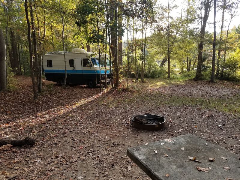 Camp Close Enough To Hear The Lake After Dark