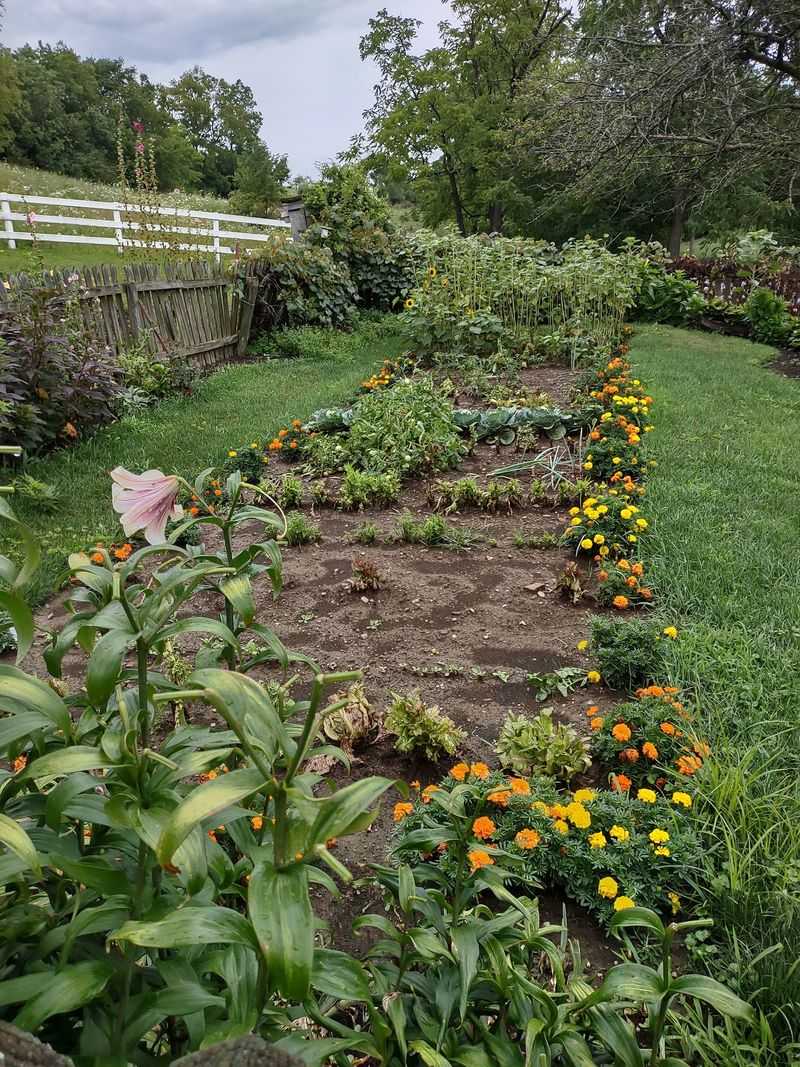 Seasonal Foods And Ingredients Available Year Round