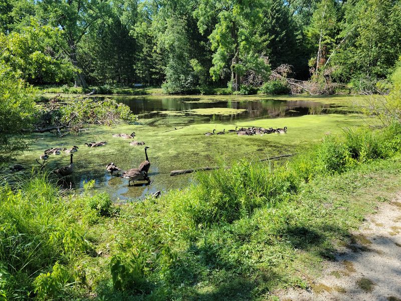 Bird Watching Opportunities That Keep You Coming Back