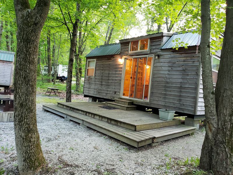 Cabins For Campers Who Like Walls