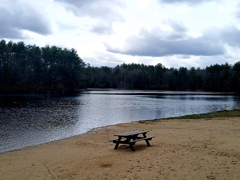Whitehall Pond Is Calling