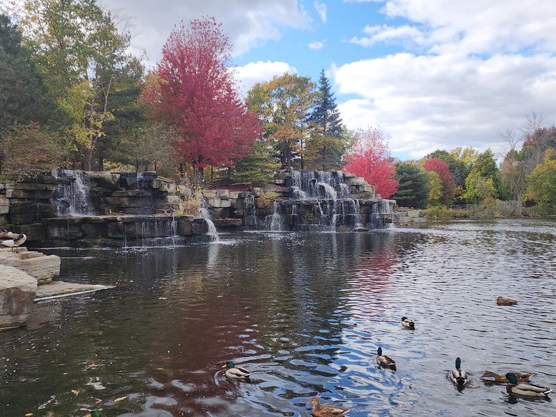 A Waterfall And Pond Views Worth Slowing Down For