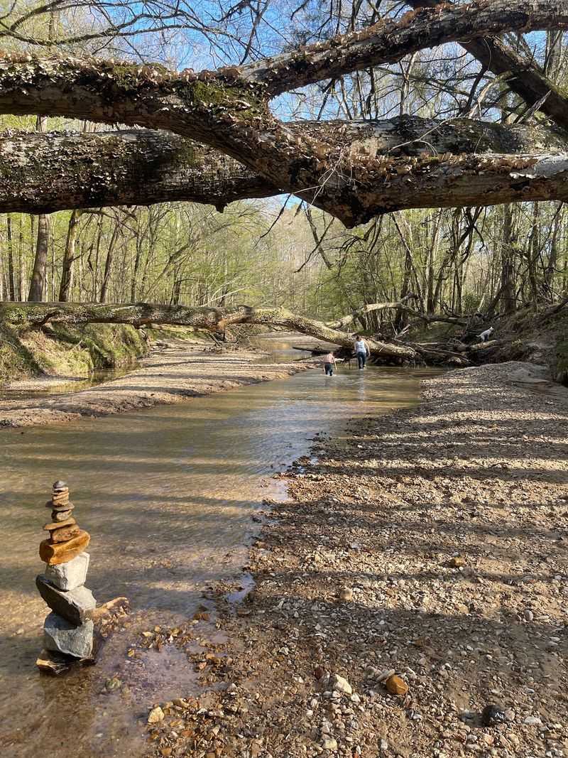Creek Play, Stones, And Slow Afternoons