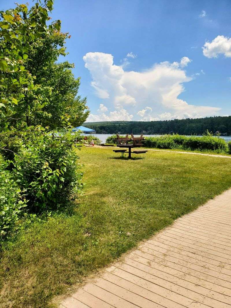 Grills, Tables, Picnic Feasts