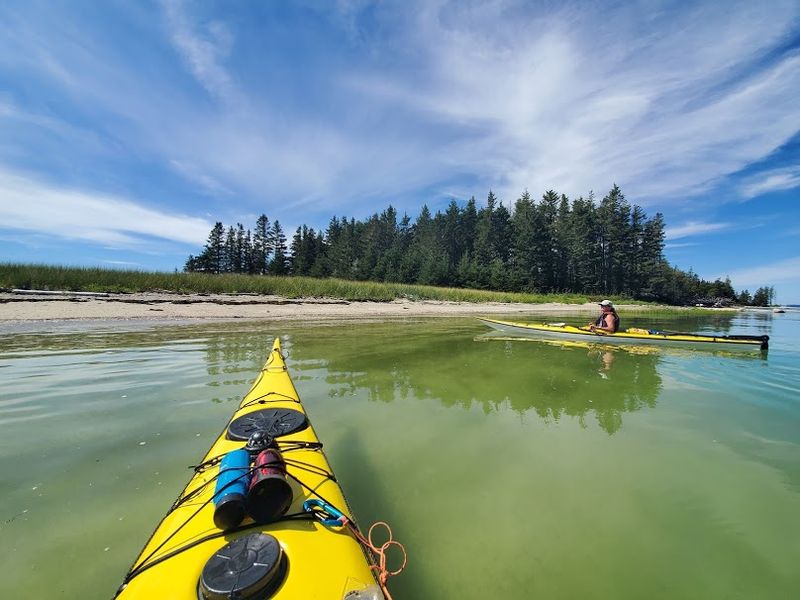 Paddles, Pebbles, and Harbor Cruises