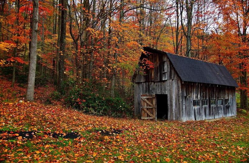 Redden State Forest