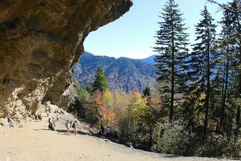 Alum Cave Trail, Mount Le Conte