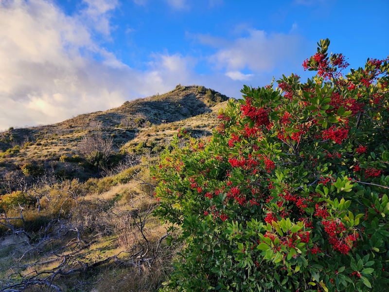 Sugarloaf Ridge State Park