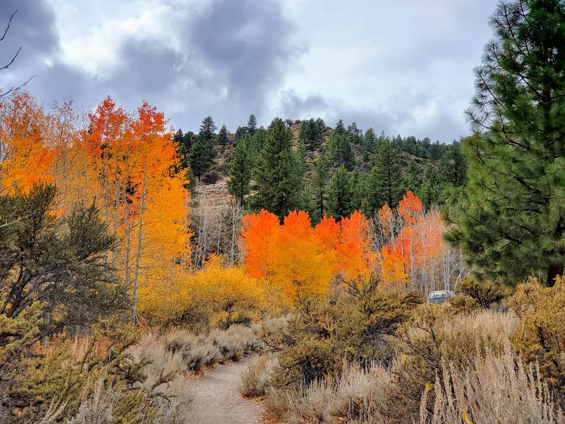 Why Autumn Here Sticks With You