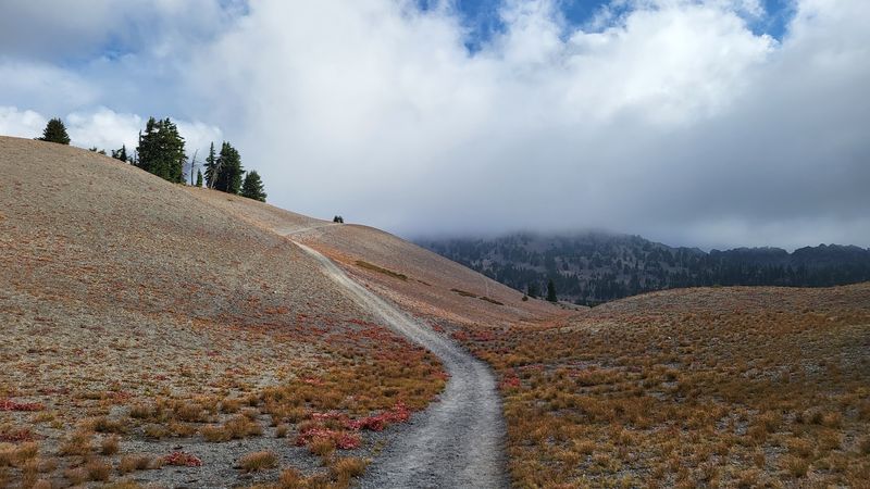 Easy Shoreline Hike Awaits
