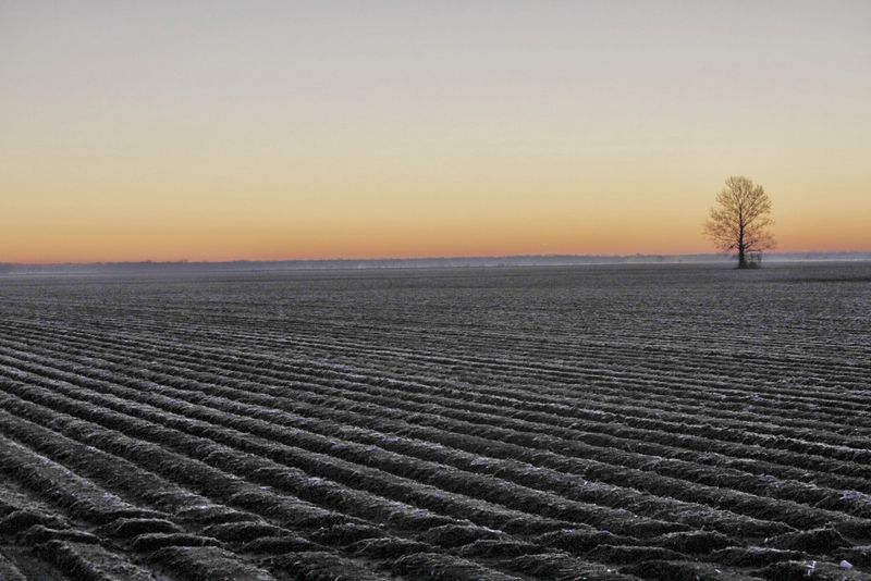 Rolling Fork