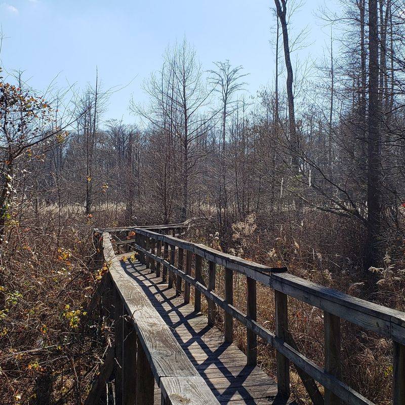 Clear Springs Nature Trail 