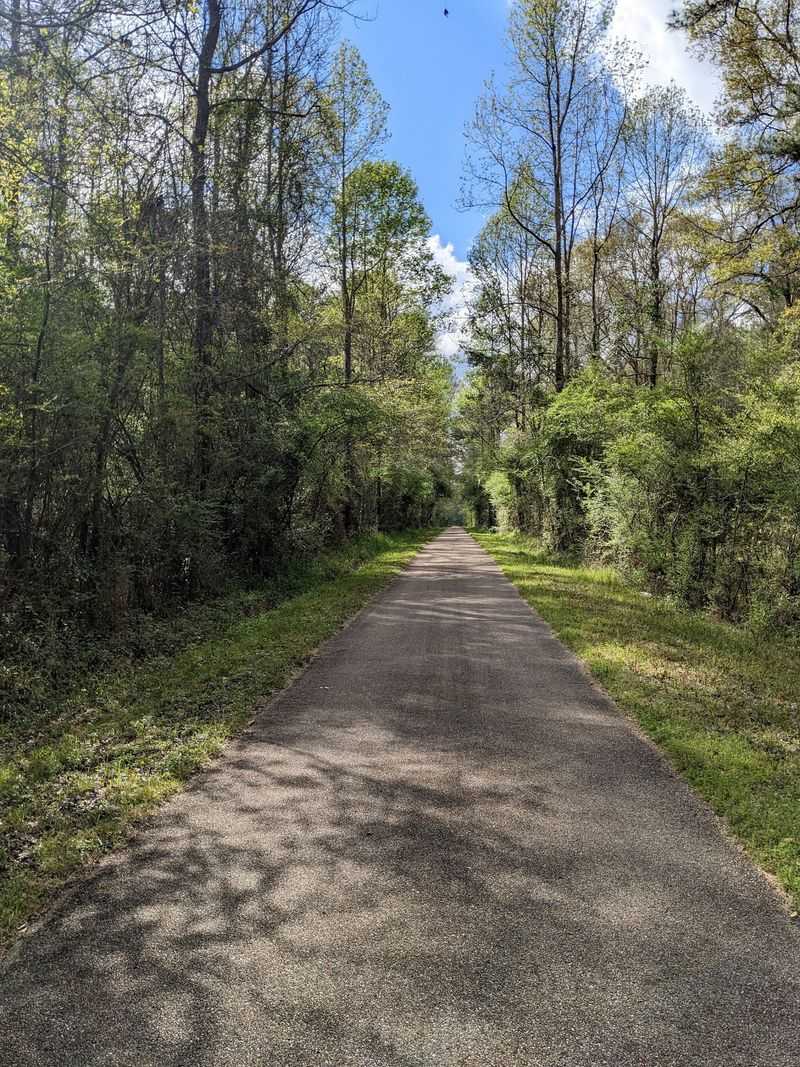 Longleaf Trace - Hattiesburg To Prentiss