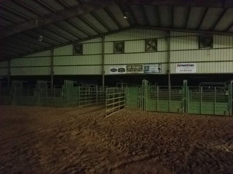 Bull Riding Steals The Show
