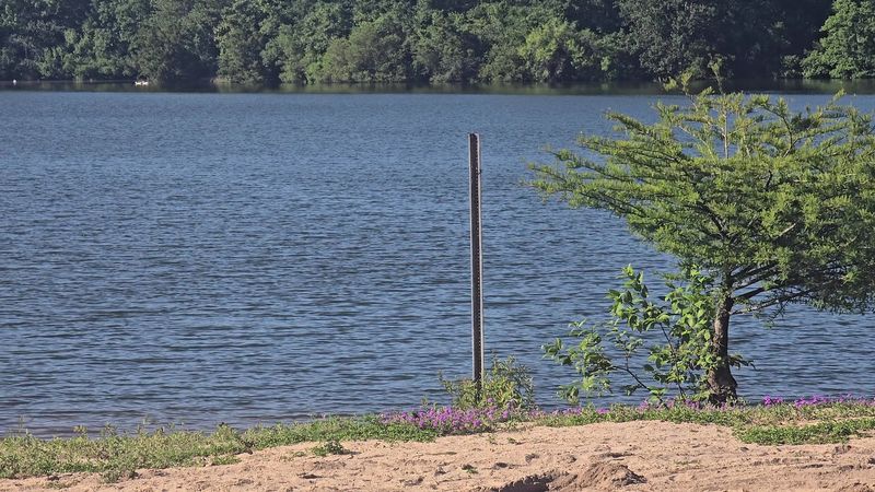 Fishing Spots And Techniques For Beginners