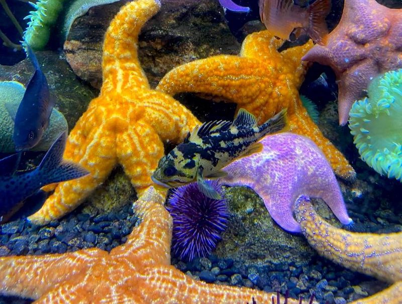 Exclusive Events Featuring Marine Biology Experts
