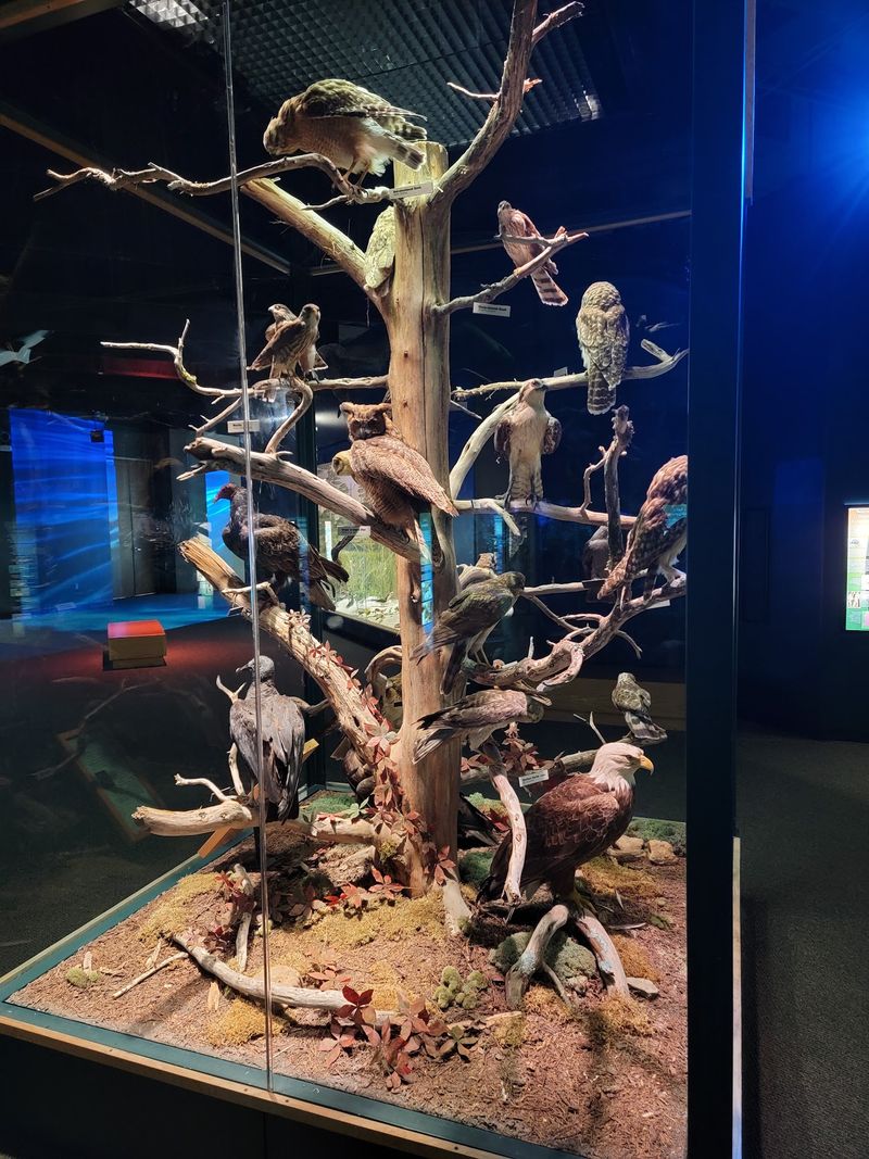 Interactive Displays That Engage Visitors