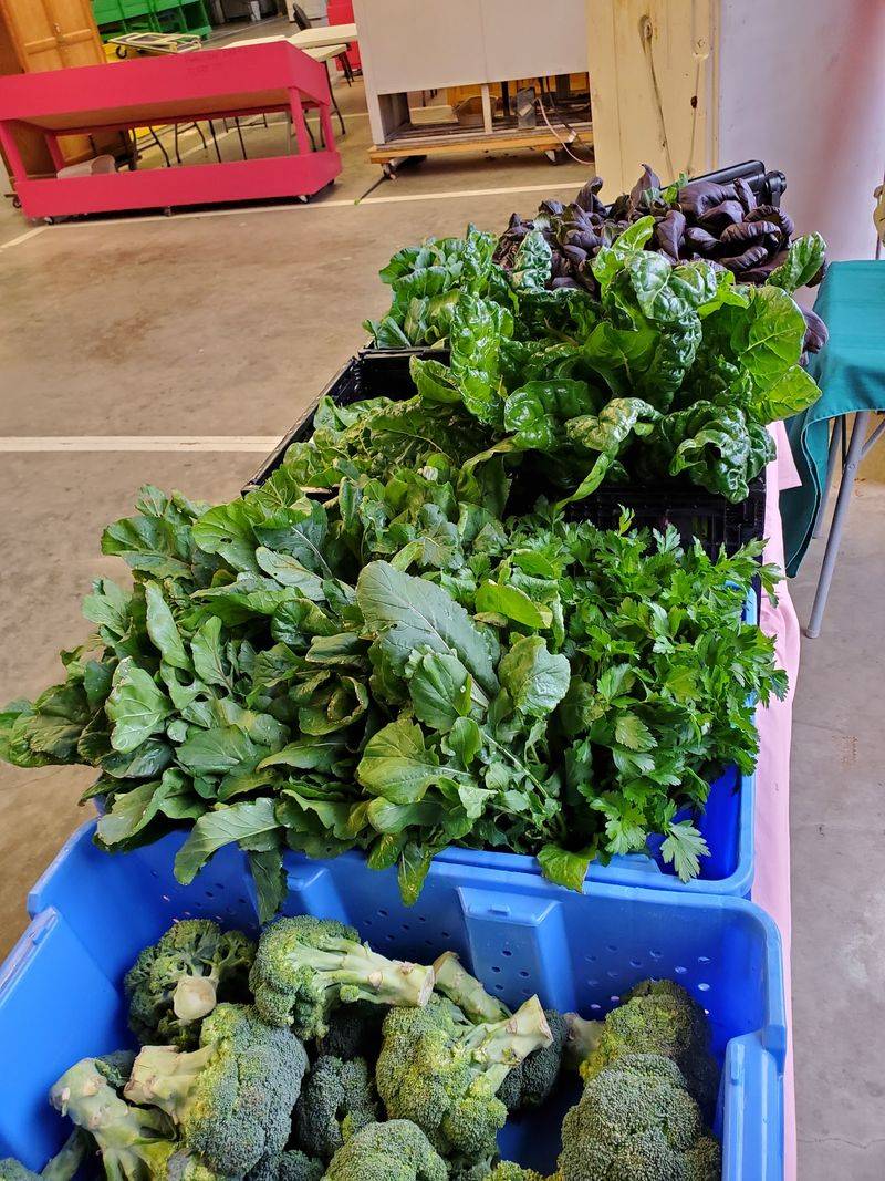 Benefits Of Buying Direct From Growers
