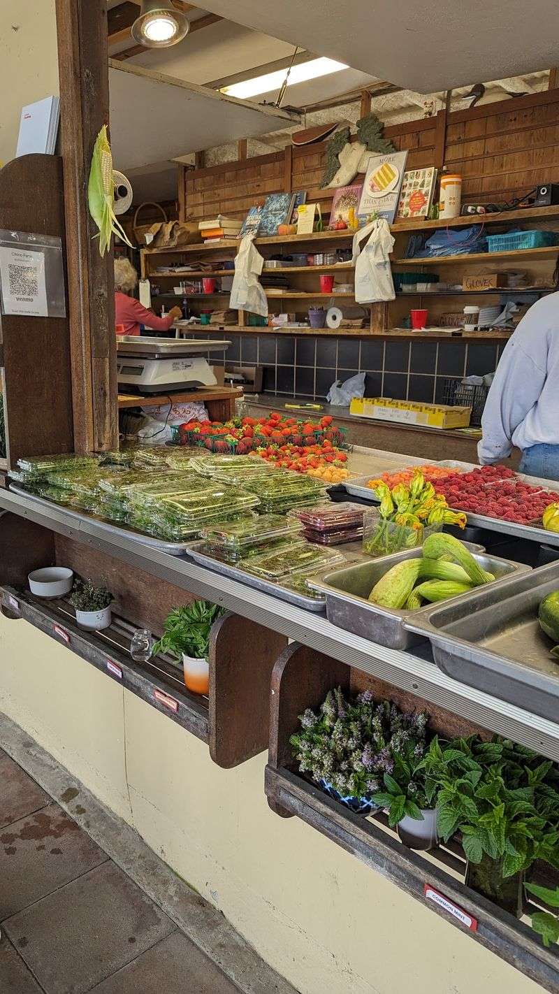 Why Famous Chefs Keep Showing Up