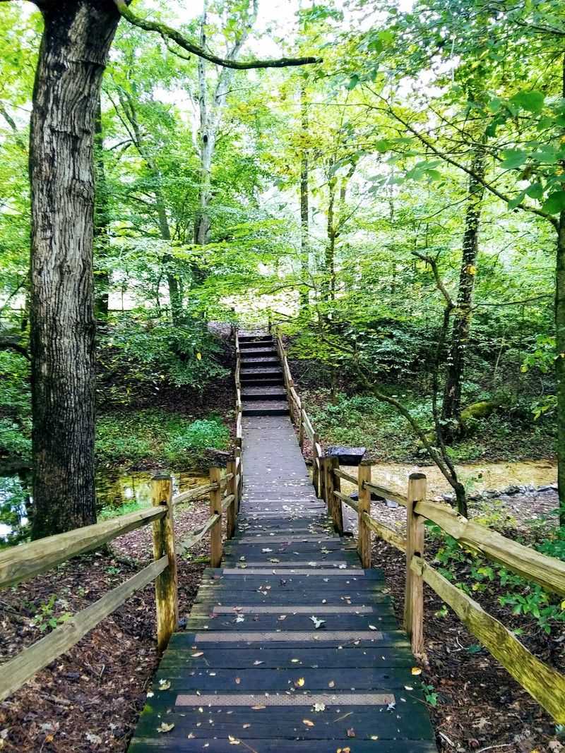 Picnics, Pavilions, And The Art Of Staying Longer