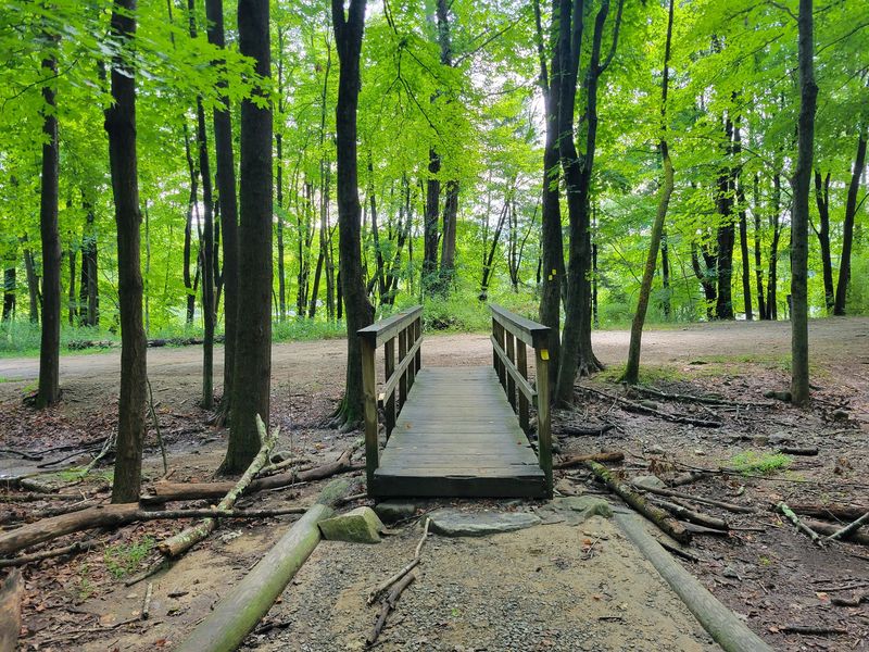 Bergen County: Waterfalls Close To The City