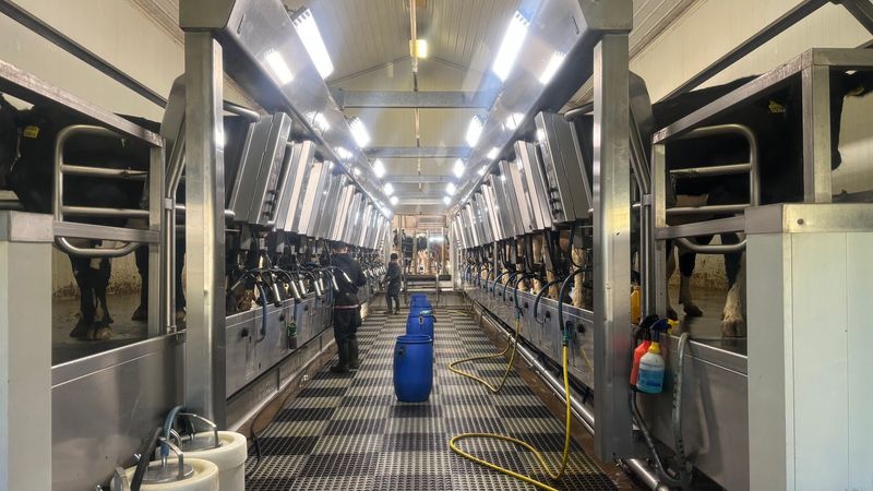 Take The Guided Farm Tour