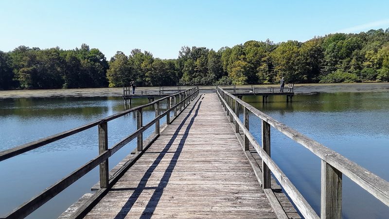 Nature Trails And Bird Watching Opportunities