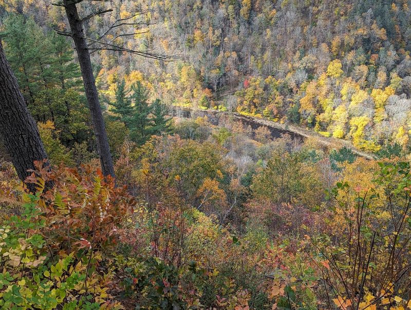 October Color Along The Canyon Walls