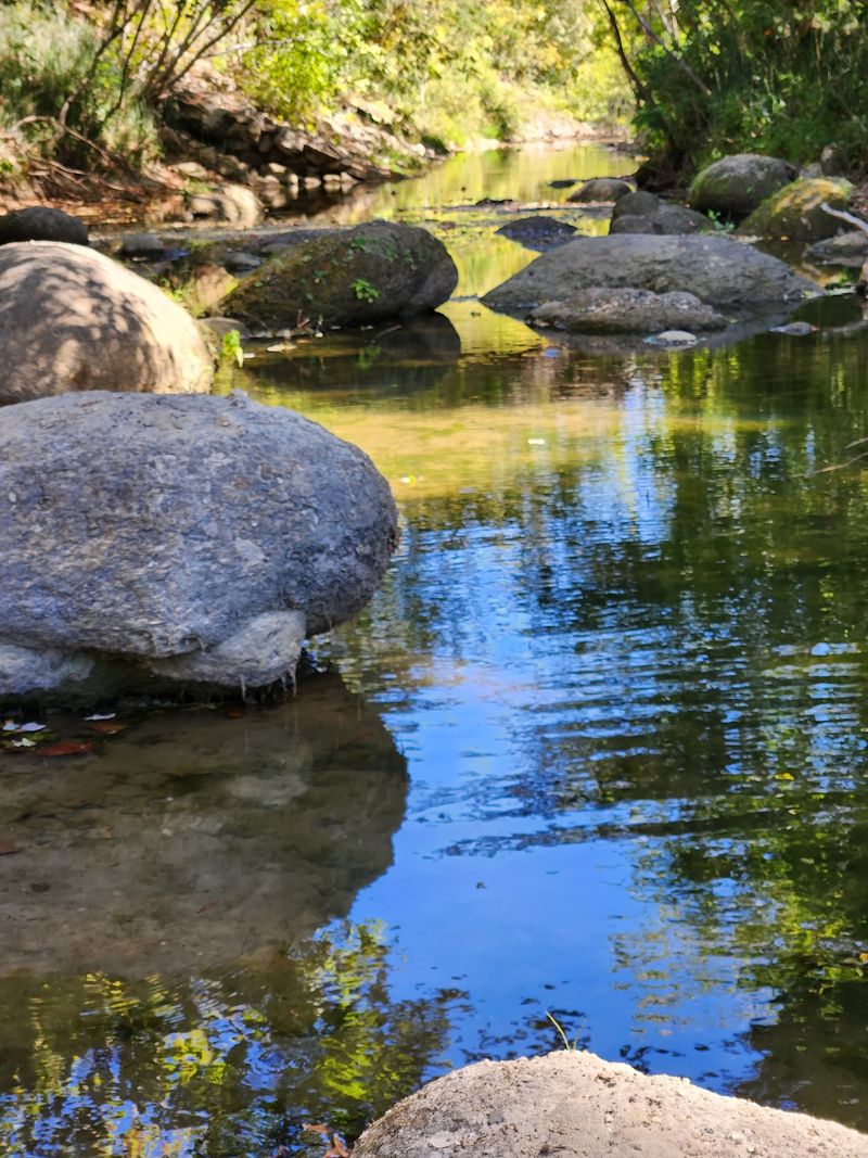 Twenty Mile Creek And Its Ancient Secrets