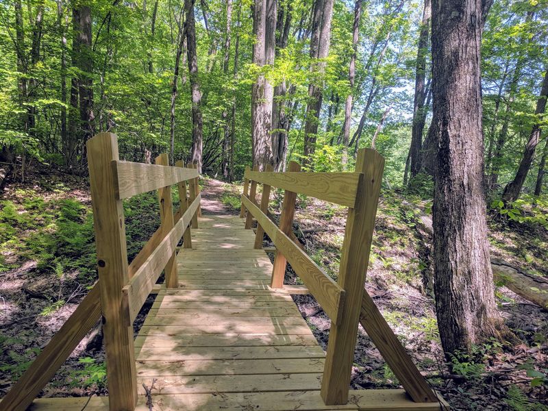 Arcadia Wildlife Sanctuary, Easthampton