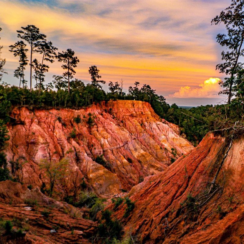 Red Bluff - Morgantown, MS