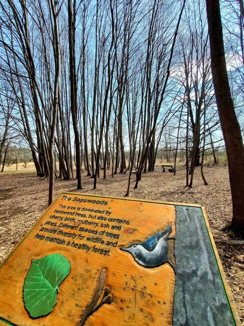 Interactive Exhibits That Bring Nature Education To Life