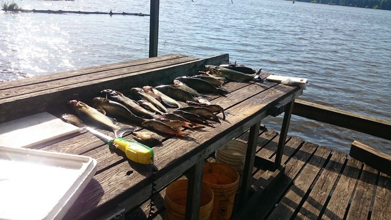 Fish Cleaning Stations, Freezers, And A Bait Shop