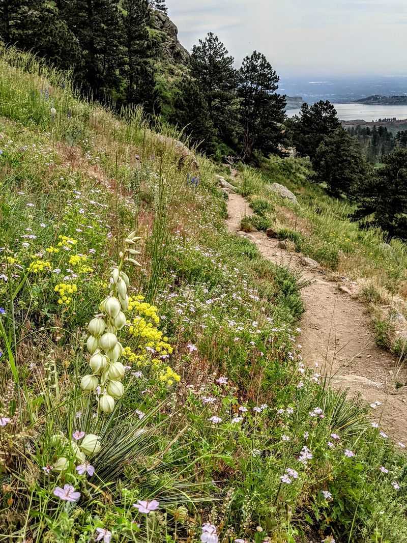 Arthur's Rock Trail, Lory State Park, Bellvue, Larimer County, Colorado