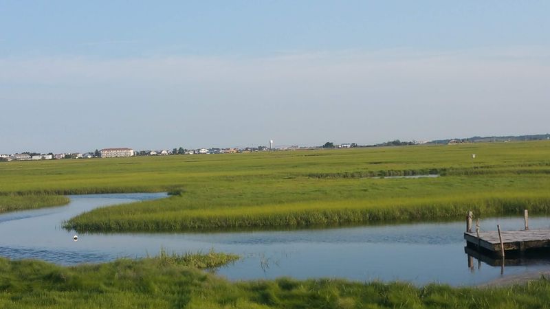 Nature Trails And Green Spaces Just Steps Away