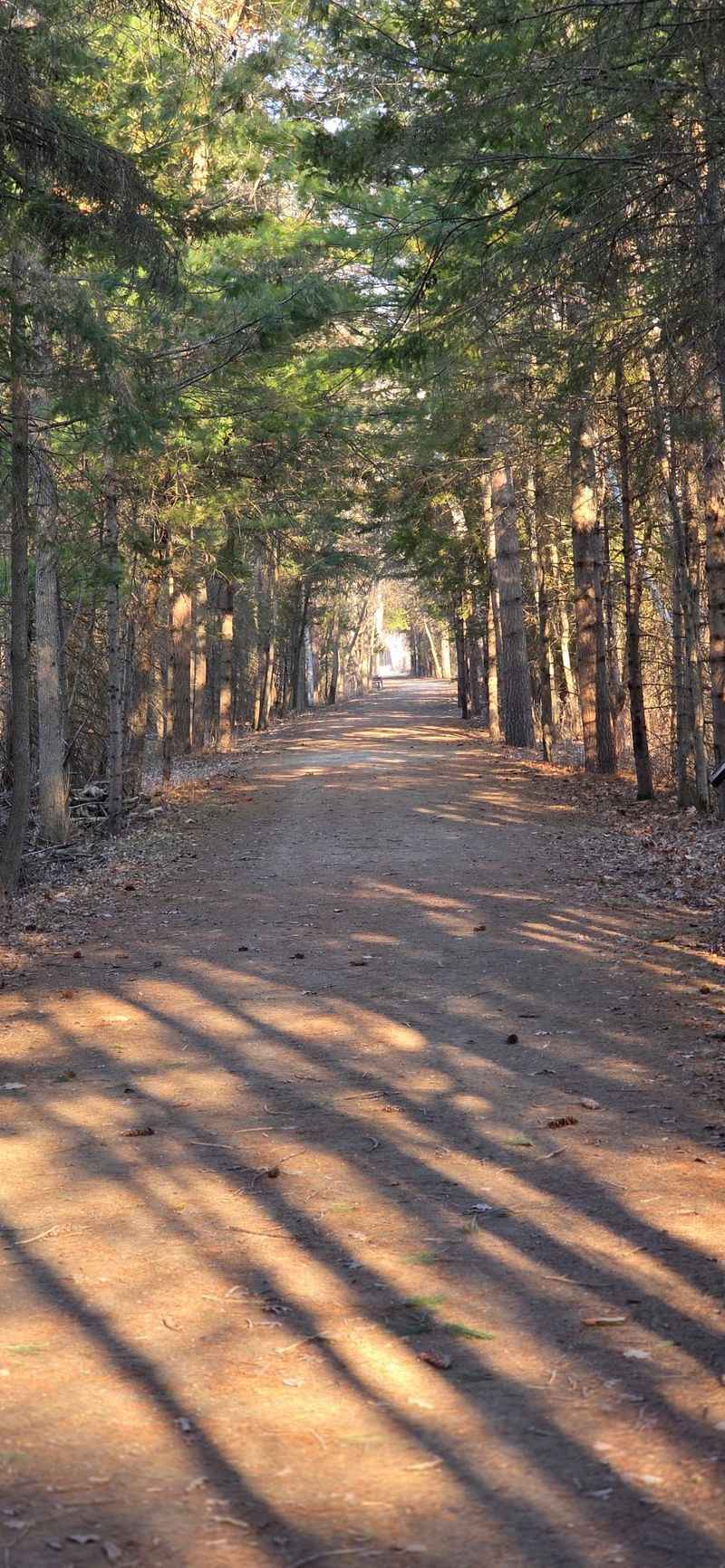 Trail Options For Every Pace And Skill Level