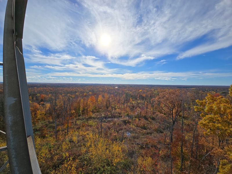 The View From The Top Deck