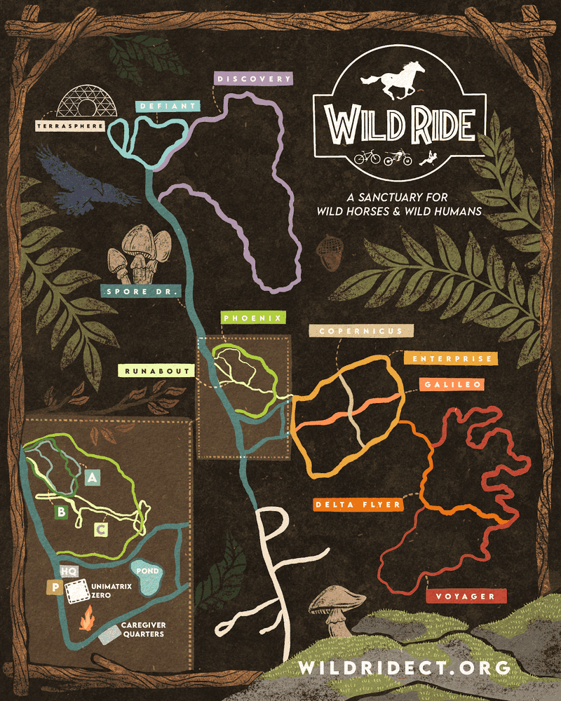 Why The Caretakers Make The Whole Trip