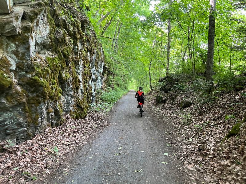 The Virginia Creeper Trail And Its Downhill Fame